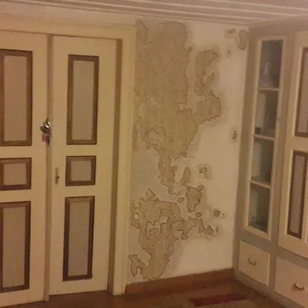 Guest house Hayat Alti *