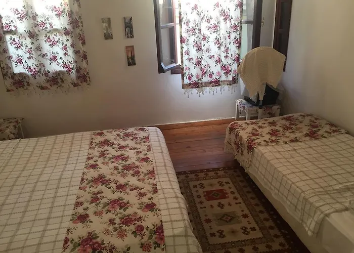 Hayat Alti Gæstehus